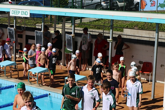 Electric Eels Swimming Club - Gallery