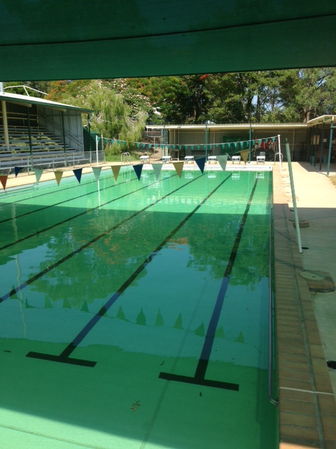 Electric Eels Swimming Club - Gallery