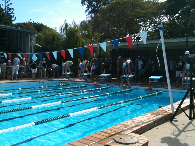 Electric Eels Swimming Club - Gallery