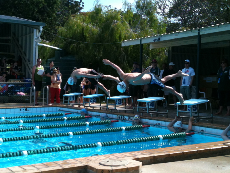 Electric Eels Swimming Club - Gallery