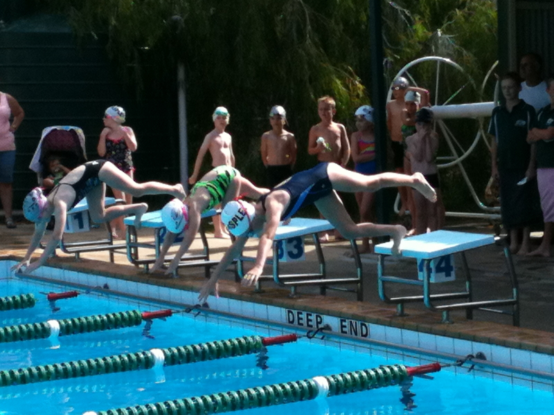 Electric Eels Swimming Club - Gallery