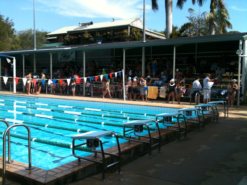 Electric Eels Swimming Club - Gallery