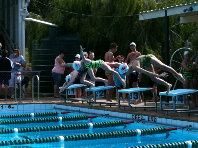 Electric Eels Swimming Club - Gallery