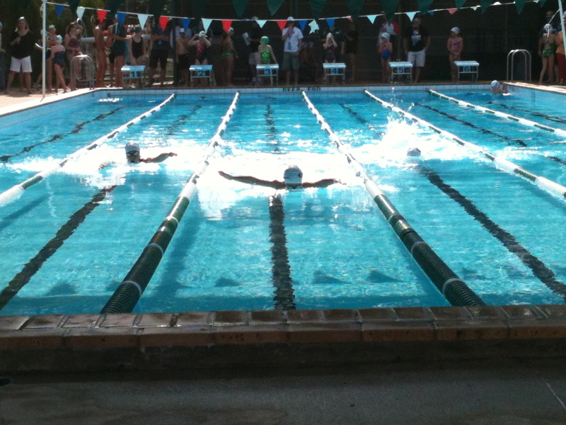 Electric Eels Swimming Club - Gallery