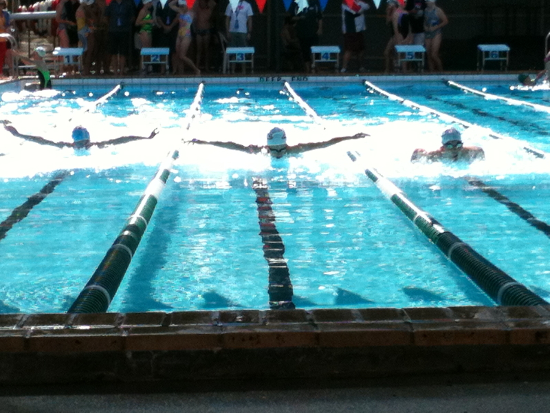 Electric Eels Swimming Club - Gallery