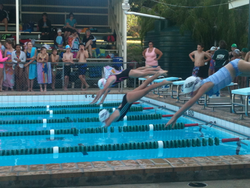 Electric Eels Swimming Club - Gallery