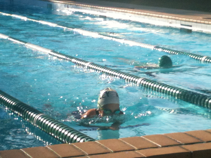 Electric Eels Swimming Club - Gallery
