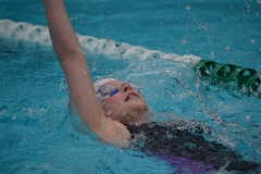 919BF327-502F-4A94-A81D-5BDCCE333120