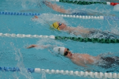 B3618D69-43DE-41ED-991F-39A0CE7033D1