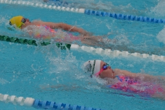 B60A65D2-CEFB-4531-AE04-9F98057A19F8