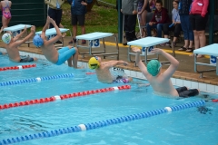 DC56C995-81D6-45D1-B1CB-C753672A33F5