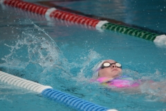 F82BC52E-F367-4098-80FF-14D99244B543